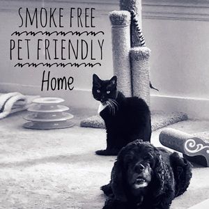 SMOKE FREE & Pet Friendly